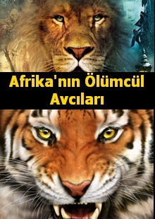 Afrika’nın Ölümcül Avcıları
