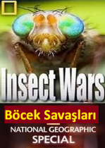 Böcek Savaşları