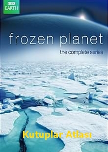 Kutuplar Atlası | Frozen Planet | hd belgesel izle |